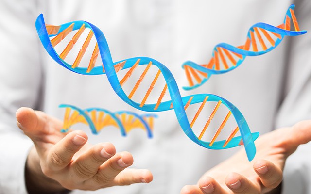 Meilensteine in der Medizin - Entdeckung der DNS