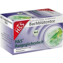 H&S BACHBL AUSGEGLICHENHEI